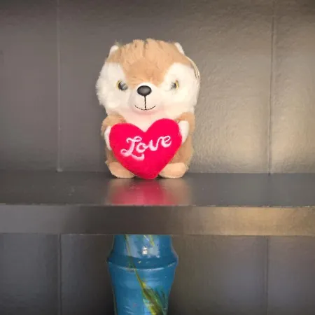 Palio House Montluc Διαμέρισμα Σιένα