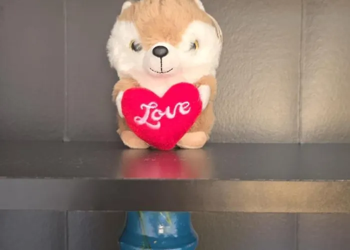 Palio House Montluc Διαμέρισμα Σιένα